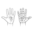 chiromancy chart of the palms vector image