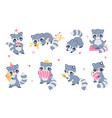 cute flat cartoon raccoon set raccoons various vector image