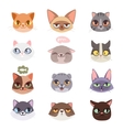 cats heads vector image vector image