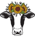 cow head with sunflowers floral wreath vector image vector image