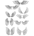 set of outline heraldic wings vector image
