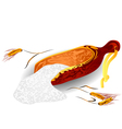 wheat and flour vector image