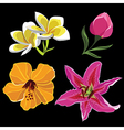 set of realistic flowers isolated on black vector image