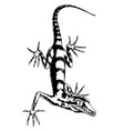 lizard hand-drawn vector image vector image