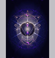 sacred geometry symbol vector image
