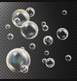 realistic soap bubbles rainbow reflection vector image