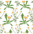 seamless background of drawn dandelions vector image vector image