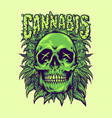 green cannabis skull weeds plant vector image vector image