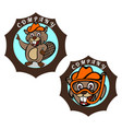 modern beaver logo vector image