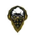 skull in bandana and headphones vector image