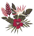 tropical composition leaves and flowers vector image
