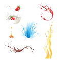 splashes vector image