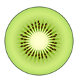 kiwi fruit isolated on white background vector image