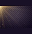 yellow glowing light vector image vector image