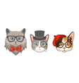 cat heads with accessories cute funny cats vector image vector image