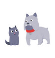 cats and dog characters best happy friends vector image vector image