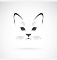 a cat face design on white background pet animals vector image vector image
