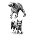 animals doodle set bear and fox hand drawings vector image