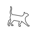 simple outline cat vector image vector image