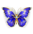 sapphire butterfly vector image