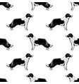 seamless pattern with border collies vector image