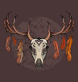 a deer skull with feathers sketch tattoo sti vector image vector image
