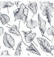 seamless pattern with hand drawn dry autumn vector image