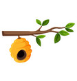 beehive hanging from a tree branch with leaves vector image