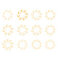 laurel wreath flora theme on a white vector image vector image