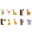 set of cute animals cartoon funny flamingo vector image