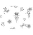sunflower seamless pattern vector image