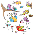 birds colorful vector image vector image