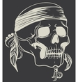 vintage skull vector image