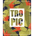 tropical background with lettering vector image