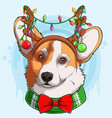 funny christmas welsh corgi pembroke dog head vector image vector image