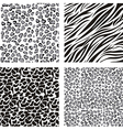 pattern of animal print vector image