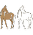 simple line drawing of a horse vector image vector image