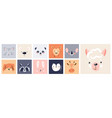 cute animal baby face posters set vector image