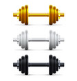3d golden white and black rubber metal dumbbell vector image vector image