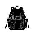 backpackers delight vector image vector image