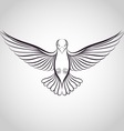 dove vector image vector image