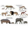 animals of africa with cubs vector image vector image