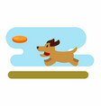 dog playing with frisbee vector image