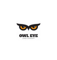 owl eye logo vector image