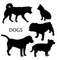 dog vector image