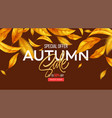 background for autumn season discounts vector image vector image