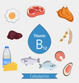 vitamin b12 or cobalamin infographic vector image