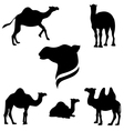 camelset vector image