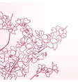 sakura lines vector image