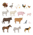 cartoon set farm animals vector image